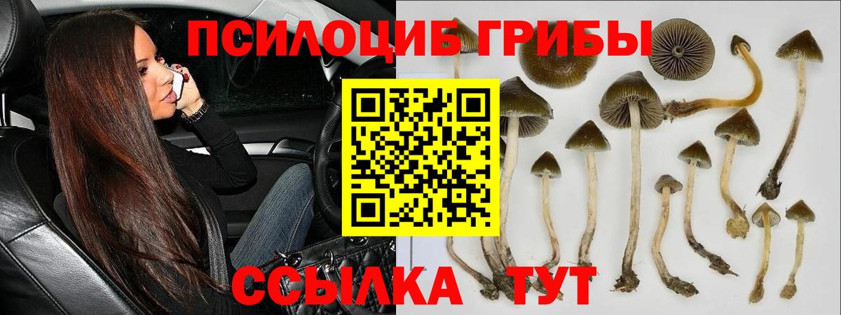 Псилоцибиновые грибы Magic Shrooms Кызыл